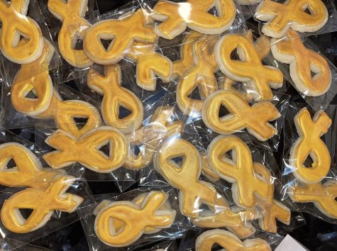 In order to support the St. Judes Children’s Research Hospital, cancer ribbon shaped sugar cookies and more, are up for purchase through DHS Junior Amanda Harajli’s organization, @cookies4_cancer.